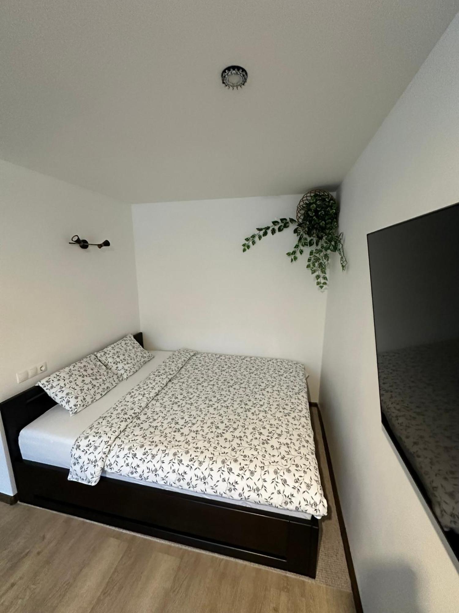 Studio Apartment Valmiera Kültér fotó